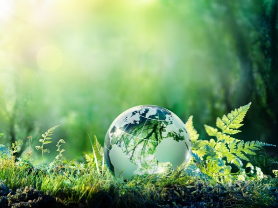 Environment Bill becomes law